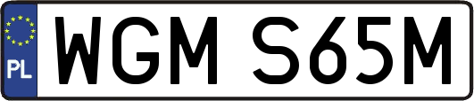 WGMS65M