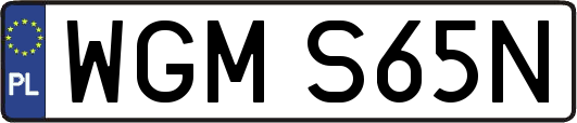 WGMS65N