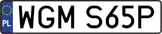 WGMS65P