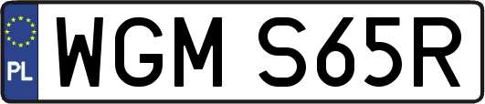 WGMS65R