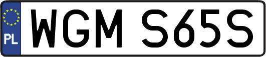 WGMS65S