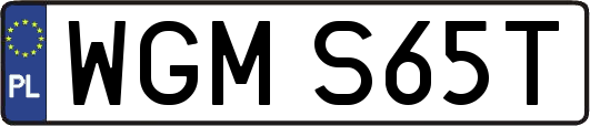 WGMS65T