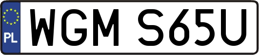 WGMS65U