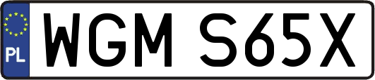 WGMS65X