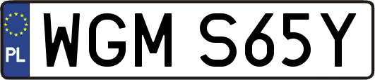 WGMS65Y