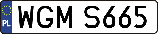WGMS665