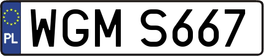 WGMS667