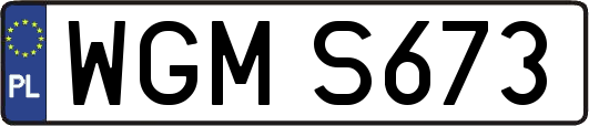 WGMS673