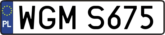 WGMS675