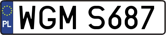 WGMS687