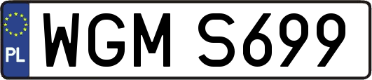WGMS699