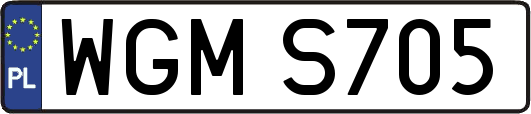 WGMS705