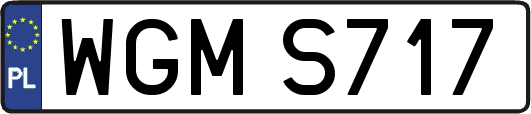 WGMS717