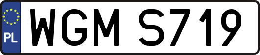 WGMS719