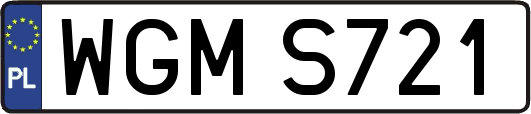 WGMS721