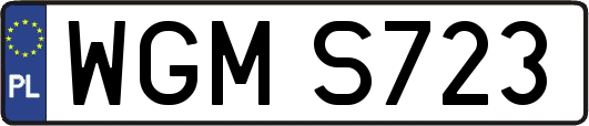 WGMS723