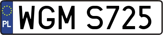 WGMS725
