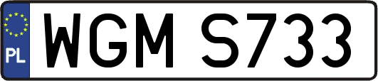 WGMS733