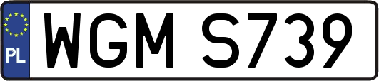 WGMS739