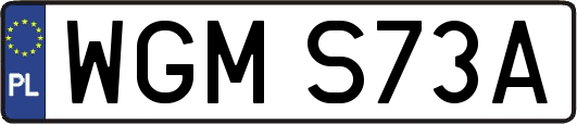 WGMS73A