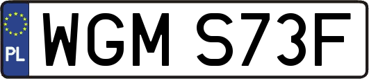 WGMS73F