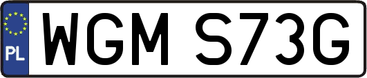 WGMS73G