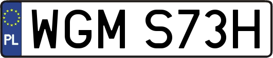 WGMS73H