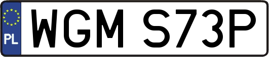 WGMS73P