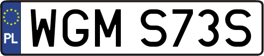 WGMS73S