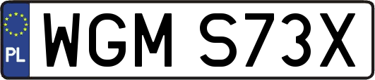 WGMS73X