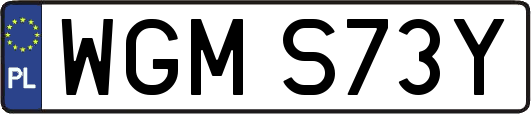 WGMS73Y