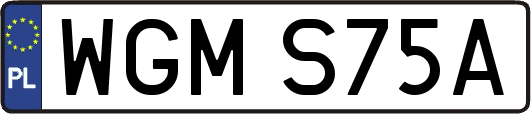 WGMS75A