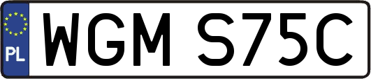 WGMS75C