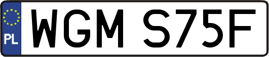WGMS75F