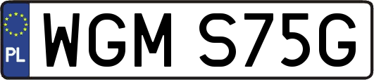 WGMS75G