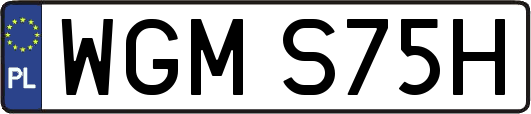 WGMS75H