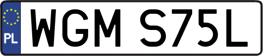 WGMS75L