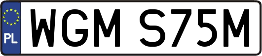 WGMS75M