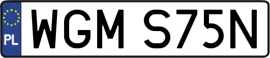 WGMS75N