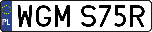 WGMS75R