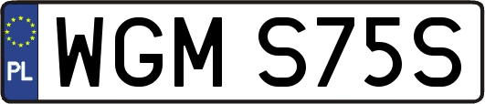 WGMS75S