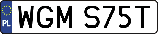 WGMS75T