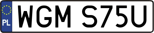 WGMS75U