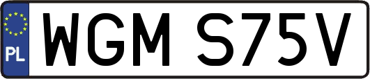 WGMS75V