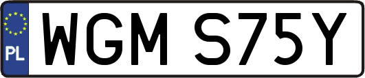 WGMS75Y