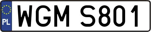 WGMS801