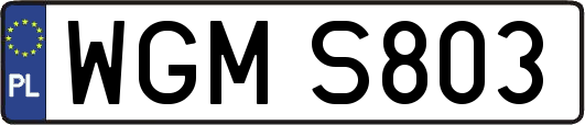 WGMS803