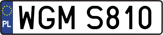 WGMS810