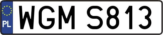 WGMS813