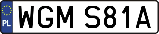 WGMS81A